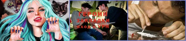 тгк Дмитровск