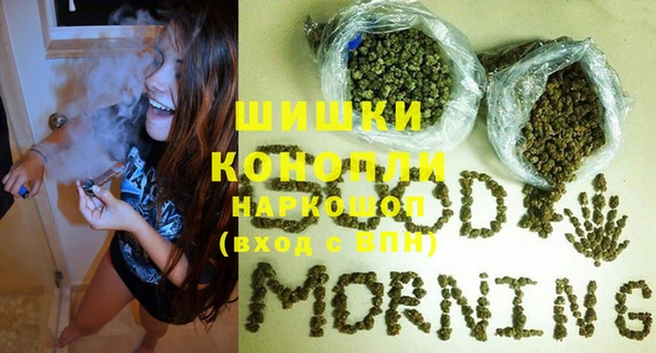 тгк Дмитровск