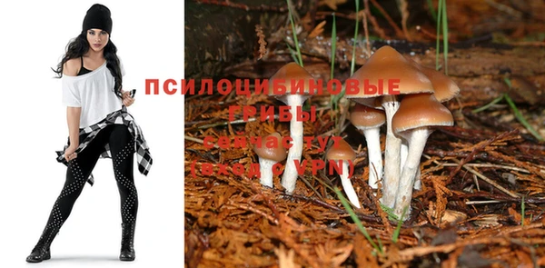 метадон Дмитриев