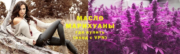 тгк Дмитровск