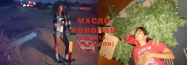 тгк Дмитровск