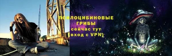 mdpv Дмитров