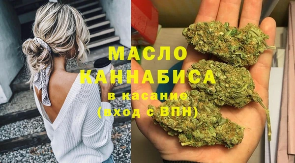 тгк Дмитровск